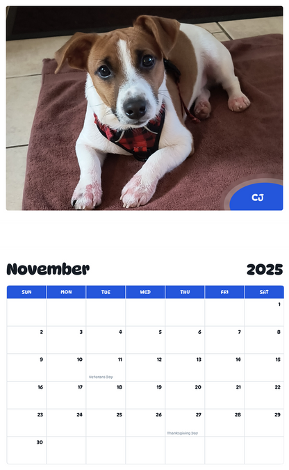 July 2025 - June 2026 Cj - Pawidols Pet Calendar