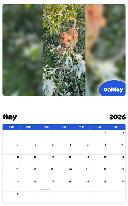 2026 - 2027 Oakley - Pawidols Pet Calendar