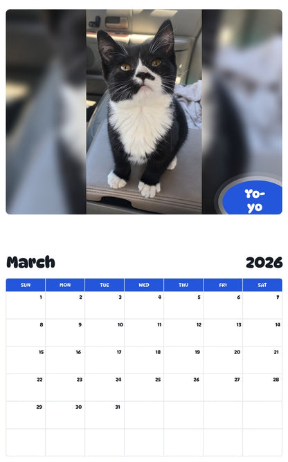 November 2025 - October 2026 Yo-yo - Pawidols Pet Calendar