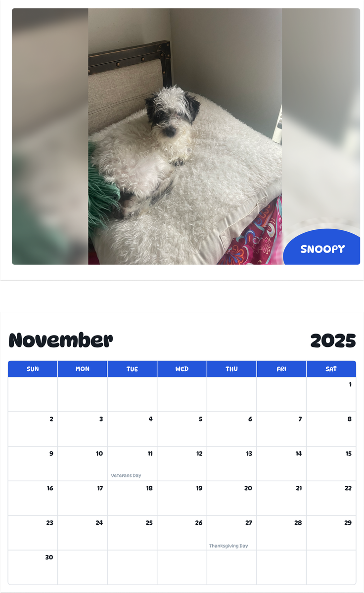 July 2025 - June 2026 Snoopy - Pawidols Pet Calendar