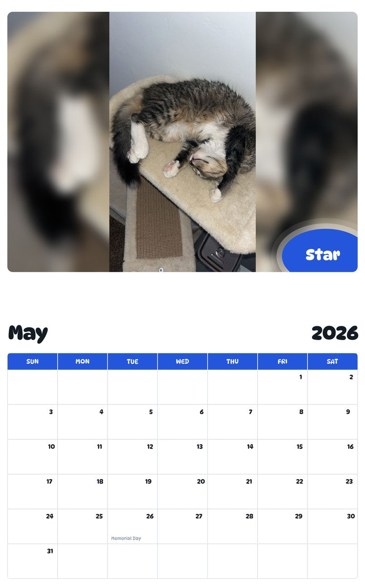2026 - 2027 Star - Pawidols Pet Calendar