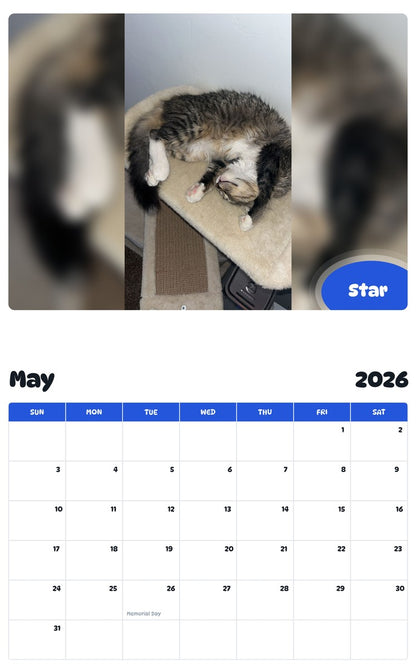 2026 - 2027 Star - Pawidols Pet Calendar