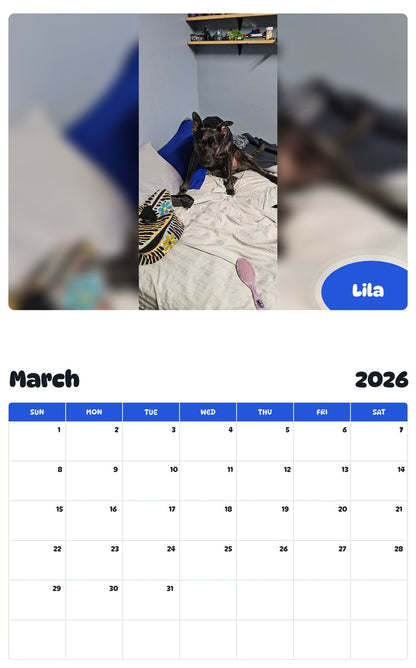 November 2025 - October 2026 Lila - Pawidols Pet Calendar