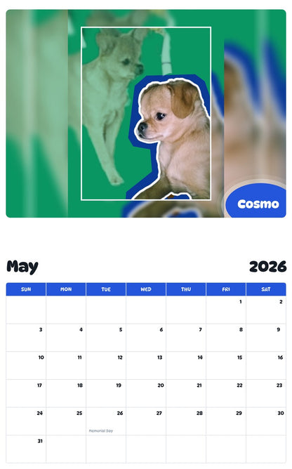 2026 - 2027 Cosmo - Pawidols Pet Calendar