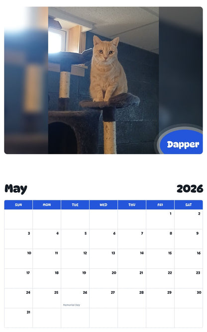 2026 - 2027 Dapper - Pawidols Pet Calendar