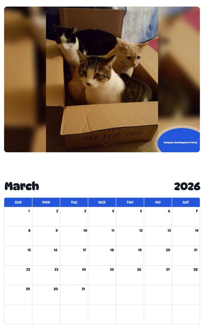 November 2025 - October 2026 Joaquin, Hemingway & Petey - Pawidols Pet Calendar