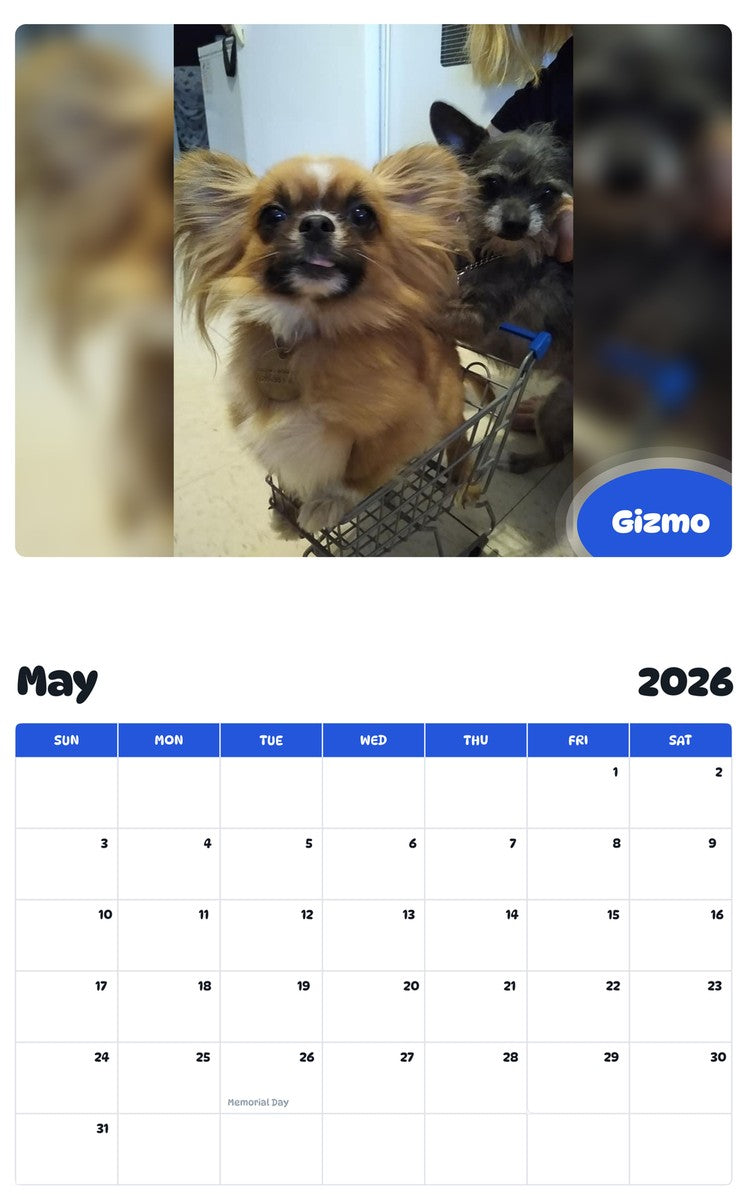 2026 - 2027 Gizmo - Pawidols Pet Calendar