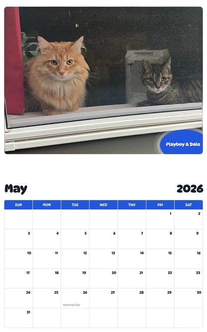 2026 - 2027 Playboy & Dale - Pawidols Pet Calendar