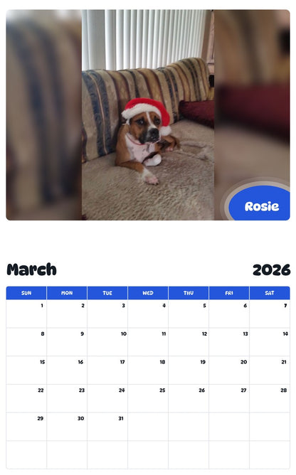 November 2025 - October 2026 Rosie - Pawidols Pet Calendar