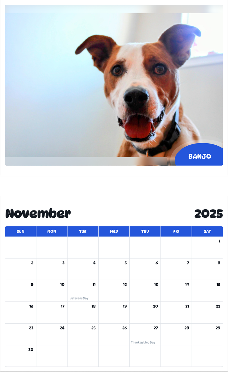 July 2025 - June 2026 Banjo - Pawidols Pet Calendar