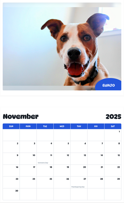 July 2025 - June 2026 Banjo - Pawidols Pet Calendar