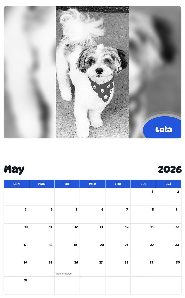 2026 - 2027 Lola - Pawidols Pet Calendar