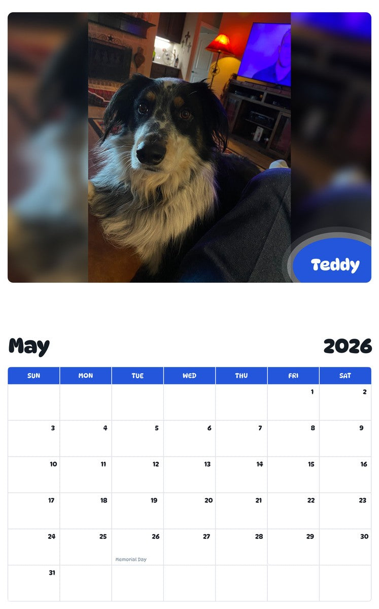 2026 - 2027 Teddy - Pawidols Pet Calendar