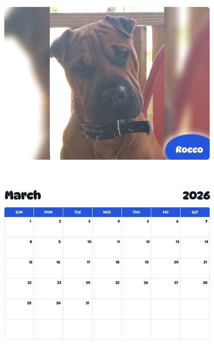 November 2025 - October 2026 Rocco - Pawidols Pet Calendar