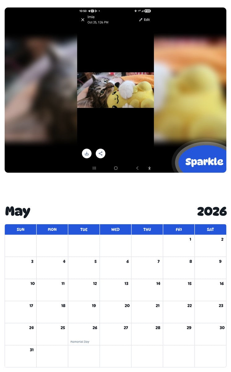 2026 - 2027 Sparkle - Pawidols Pet Calendar