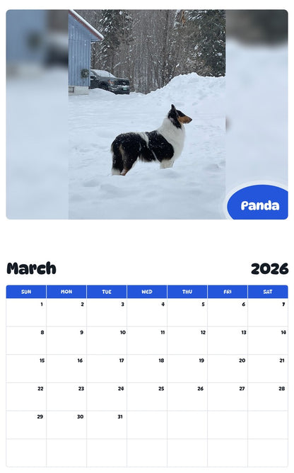 November 2025 - October 2026 Panda - Pawidols Pet Calendar