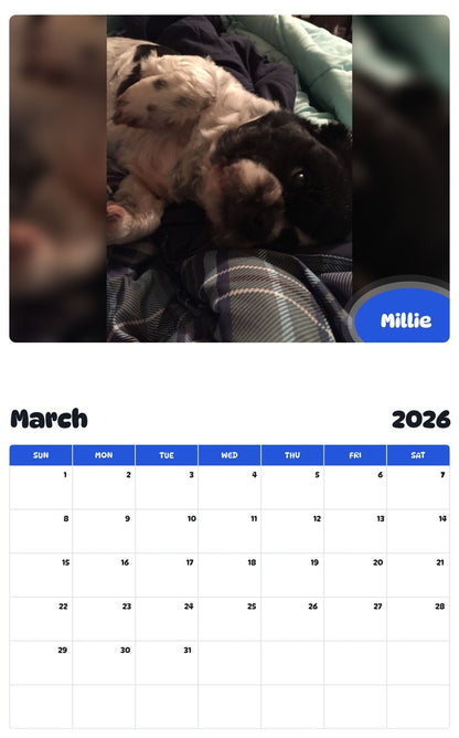 November 2025 - October 2026 Millie - Pawidols Pet Calendar