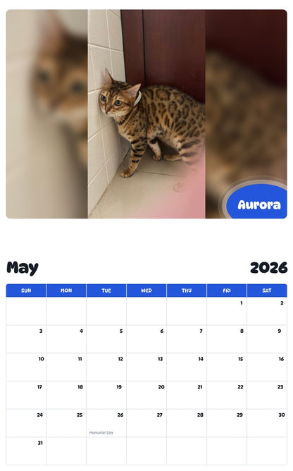 2026 - 2027 Aurora - Pawidols Pet Calendar