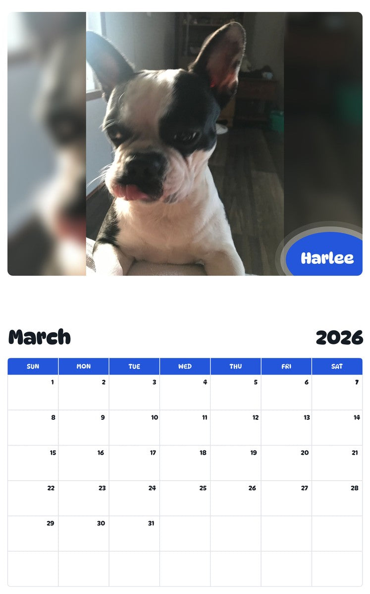 November 2025 - October 2026 Harlee - Pawidols Pet Calendar