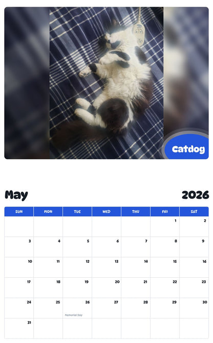 2026 - 2027 Catdog - Pawidols Pet Calendar