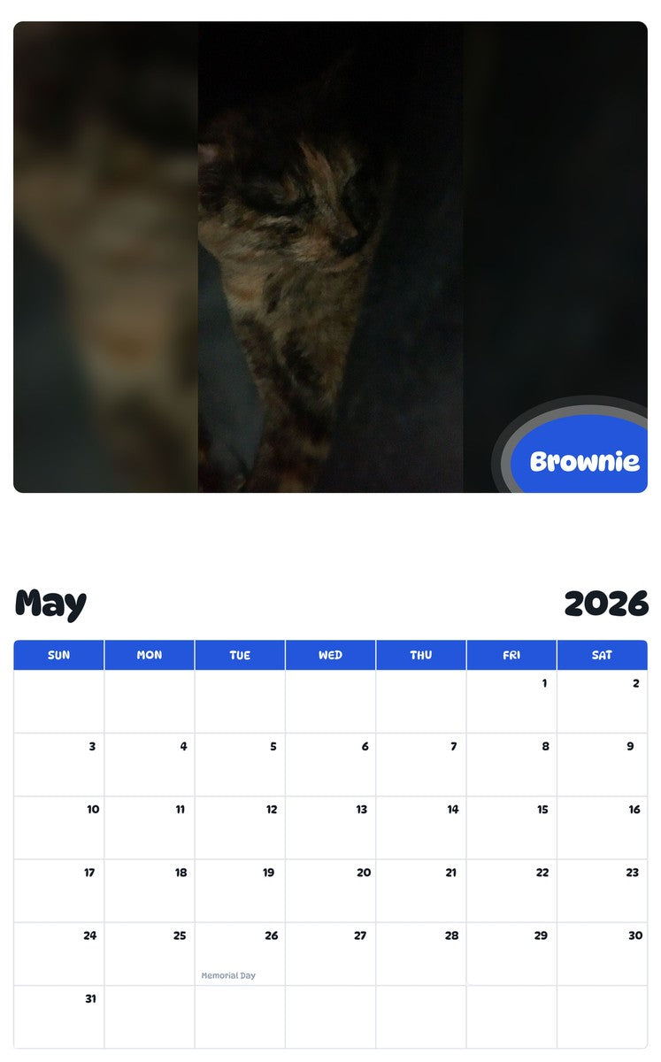 2026 - 2027 Brownie - Pawidols Pet Calendar