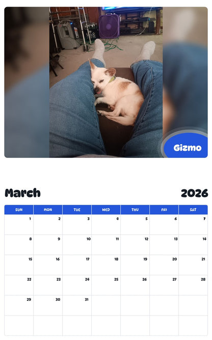 November 2025 - October 2026 Gizmo - Pawidols Pet Calendar