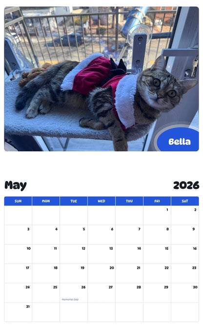 2026 - 2027 Bella - Pawidols Pet Calendar