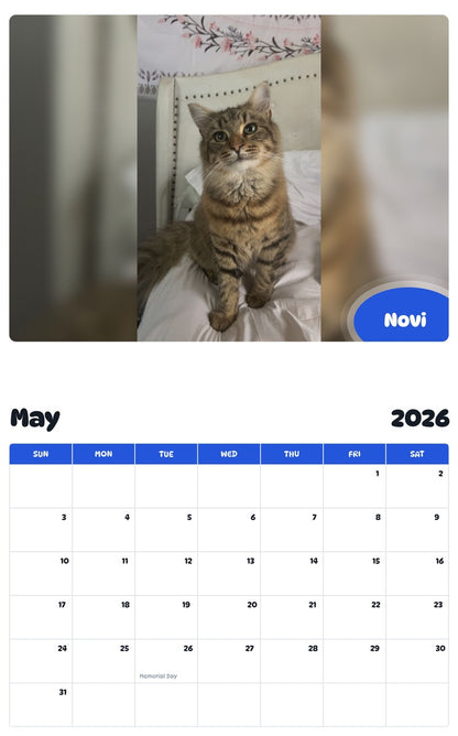 2026 - 2027 Novi - Pawidols Pet Calendar