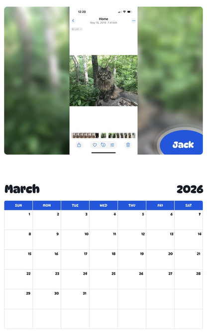 November 2025 - October 2026 Jack - Pawidols Pet Calendar