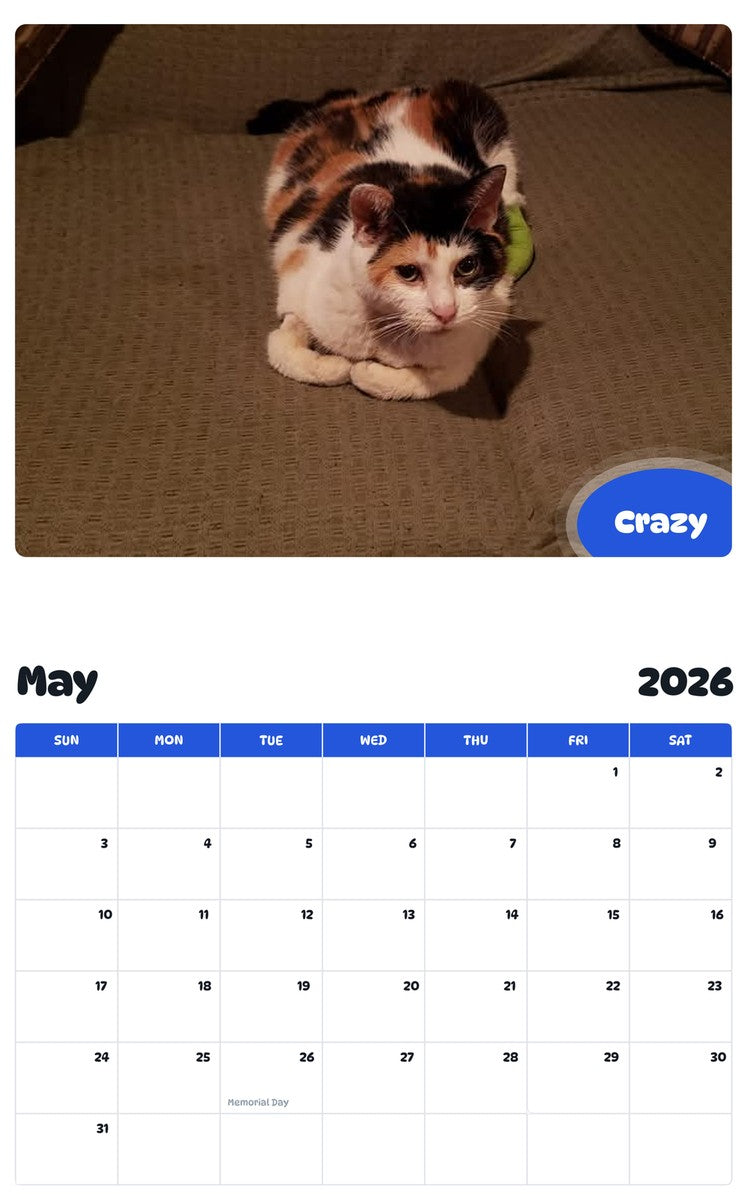 2026 - 2027 Crazy - Pawidols Pet Calendar