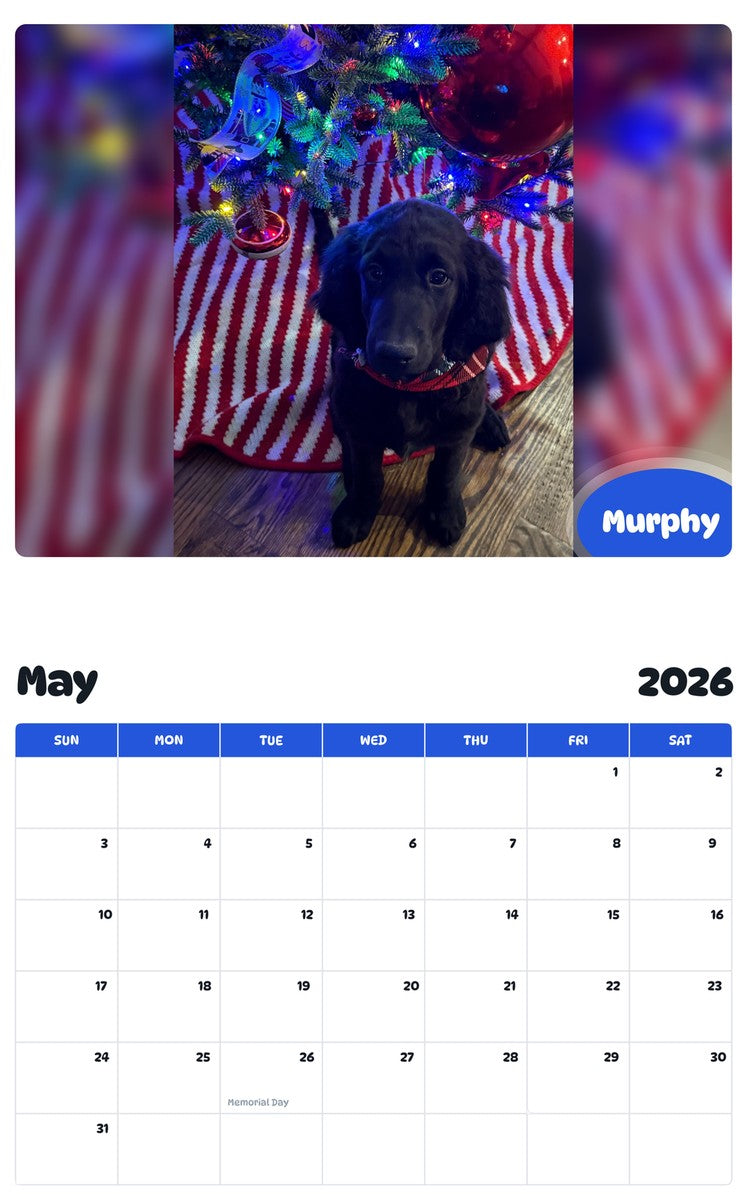 2026 - 2027 Murphy - Pawidols Pet Calendar