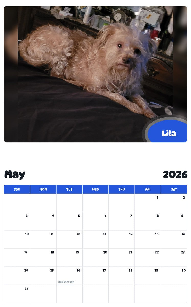 2026 - 2027 Lila - Pawidols Pet Calendar