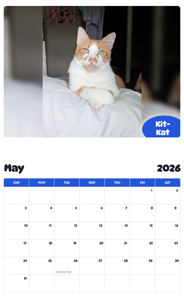 2026 - 2027 Kit-Kat - Pawidols Pet Calendar