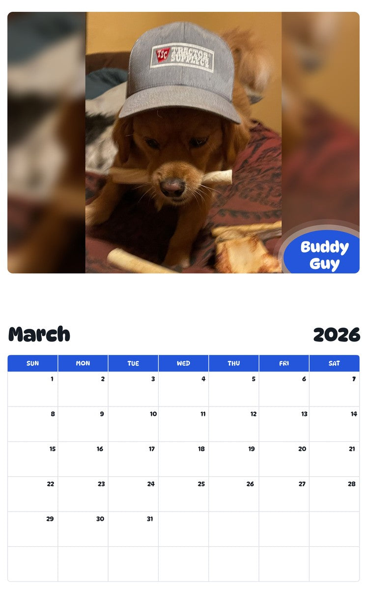 November 2025 - October 2026 Buddy Guy - Pawidols Pet Calendar