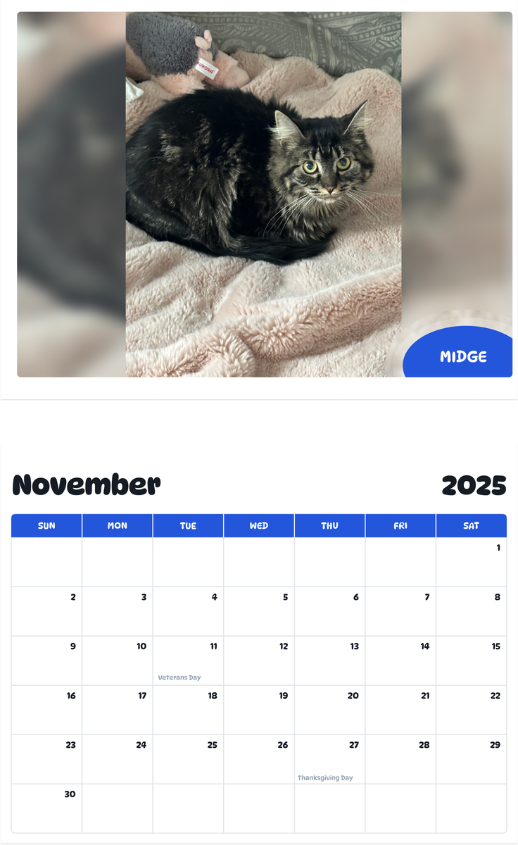 July 2025 - June 2026 Midge - Pawidols Pet Calendar