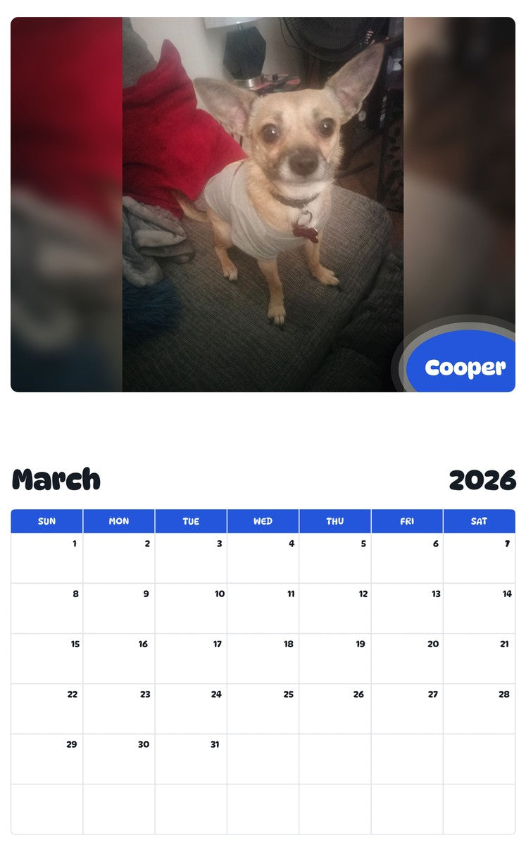 November 2025 - October 2026 Cooper - Pawidols Pet Calendar