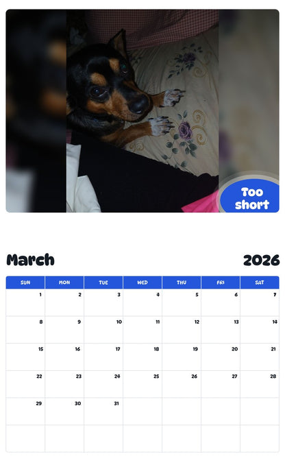 November 2025 - October 2026 Too short - Pawidols Pet Calendar