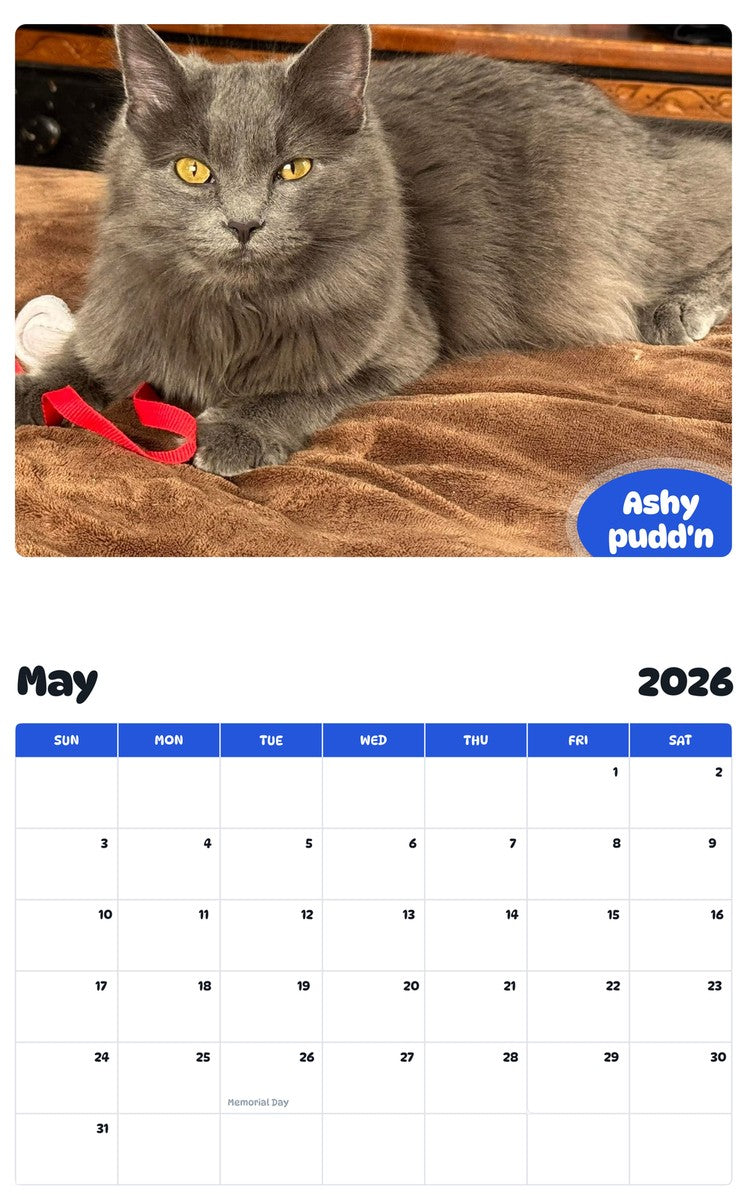 2026 - 2027 Ashy pudd'n - Pawidols Pet Calendar