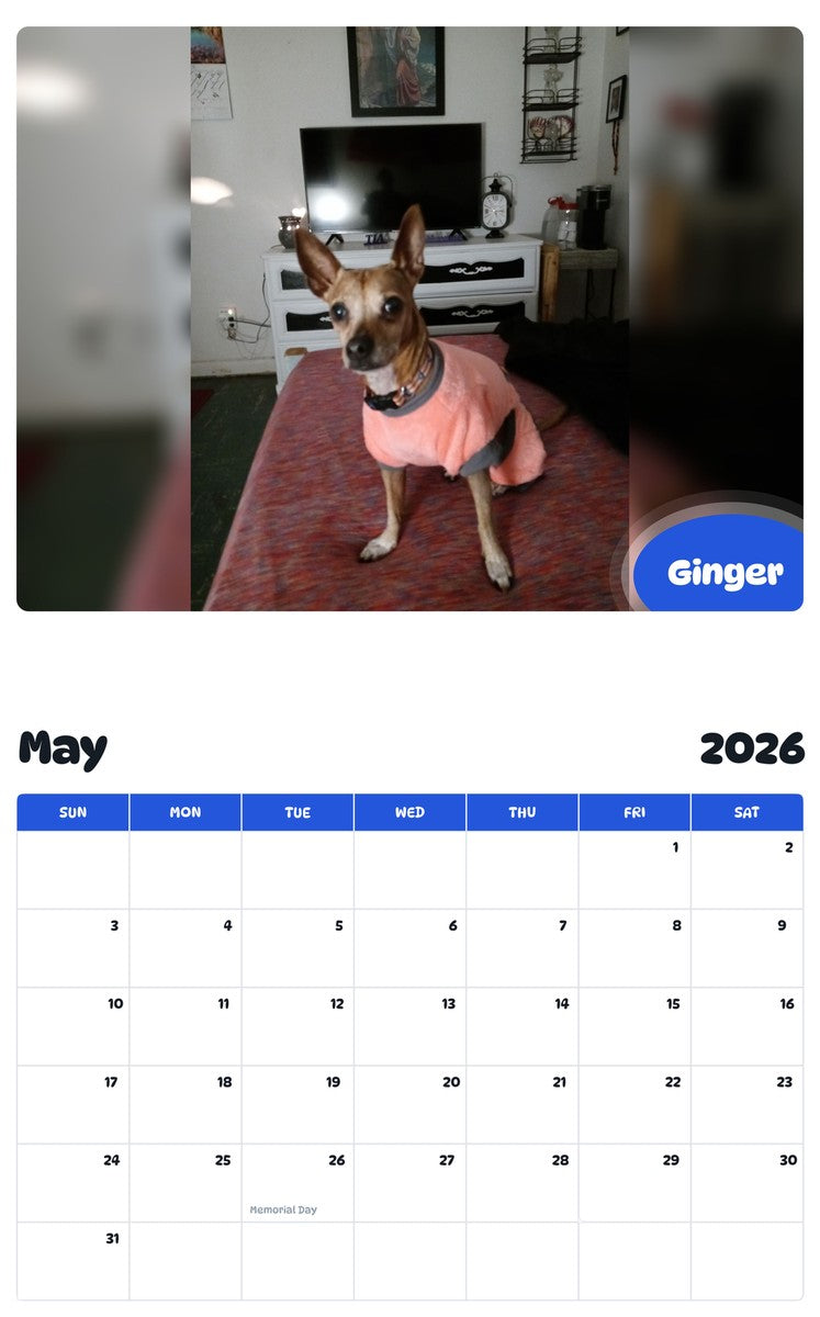 2026 - 2027 Ginger - Pawidols Pet Calendar