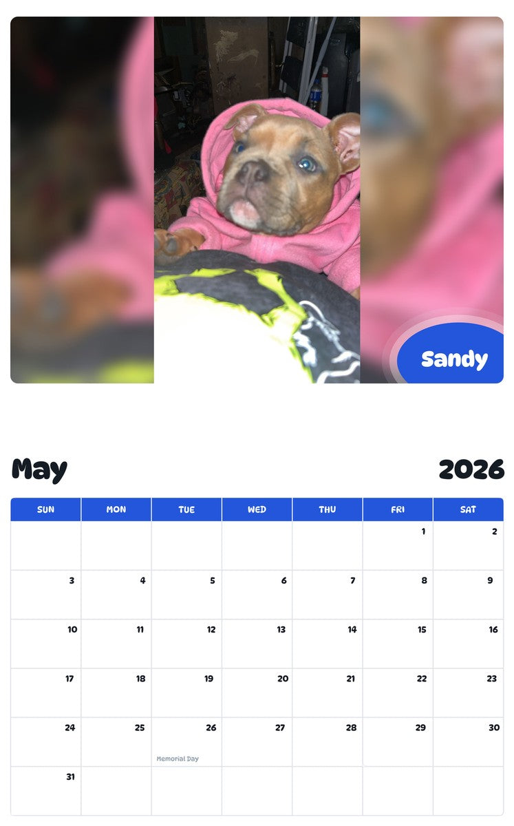 2026 - 2027 Sandy - Pawidols Pet Calendar