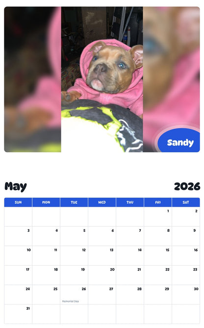 2026 - 2027 Sandy - Pawidols Pet Calendar