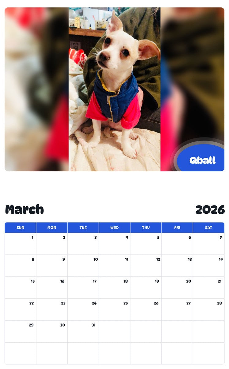 November 2025 - October 2026 Qball - Pawidols Pet Calendar