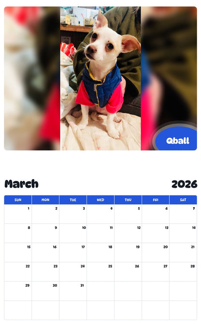 November 2025 - October 2026 Qball - Pawidols Pet Calendar