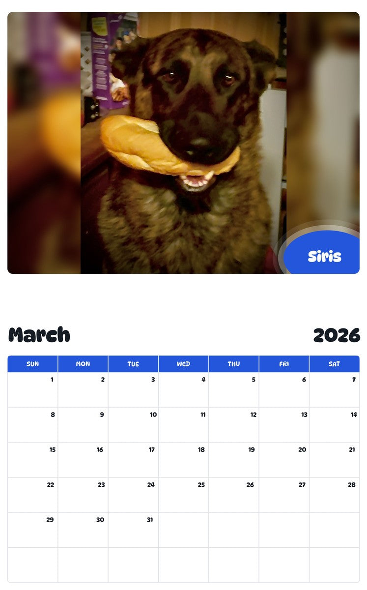 November 2025 - October 2026 Siris - Pawidols Pet Calendar