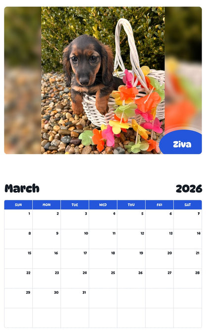 November 2025 - October 2026 Ziva - Pawidols Pet Calendar