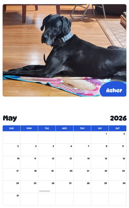2026 - 2027 Asher - Pawidols Pet Calendar