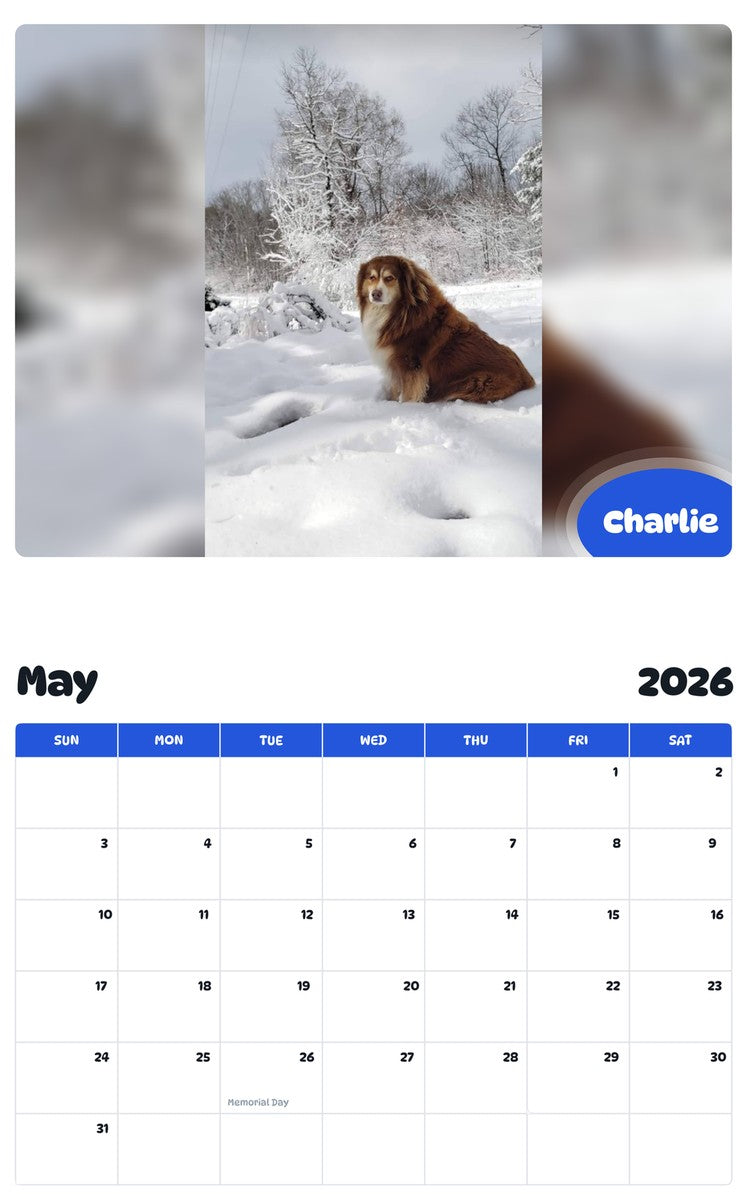 2026 - 2027 Charlie - Pawidols Pet Calendar