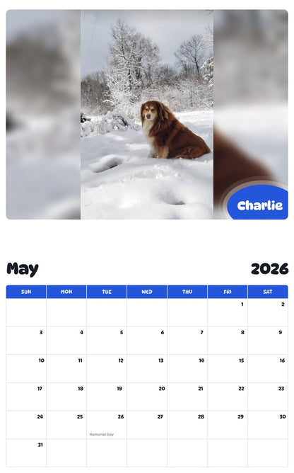 2026 - 2027 Charlie - Pawidols Pet Calendar
