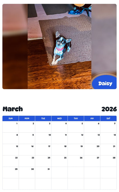 November 2025 - October 2026 Daisy - Pawidols Pet Calendar