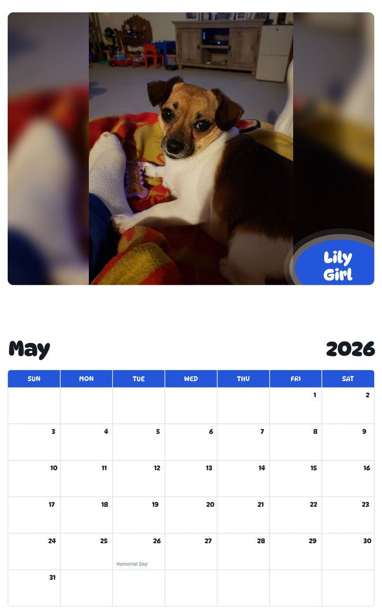 2026 - 2027 Lily Girl - Pawidols Pet Calendar